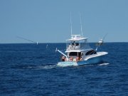 Jarrett Bay 53